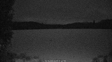 Image from 2025-01-10