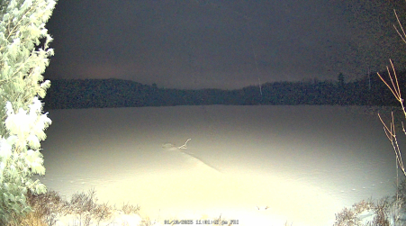 Image from 2025-01-10