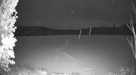 Image from 2025-01-10