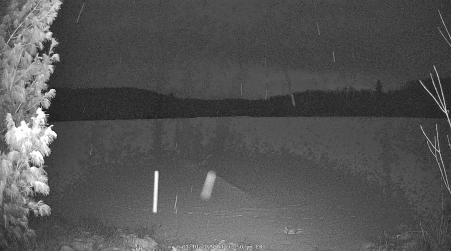 Image from 2025-01-10