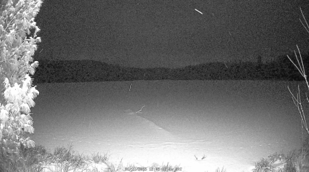 Image from 2025-01-11
