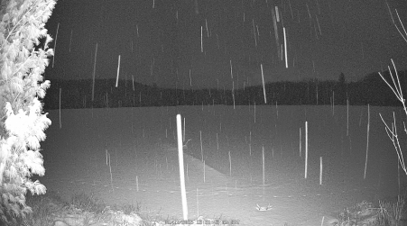 Image from 2025-01-11
