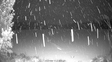 Image from 2025-01-11