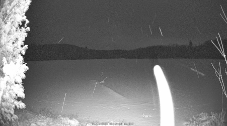 Image from 2025-01-11