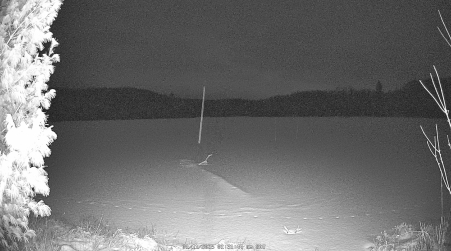 Image from 2025-01-11