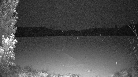 Image from 2025-01-11