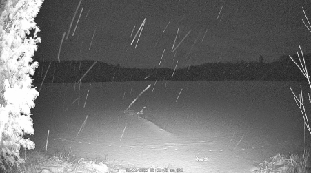 Image from 2025-01-11