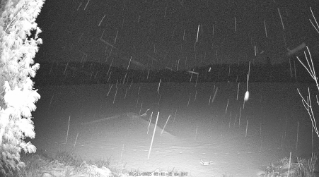 Image from 2025-01-11