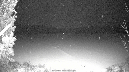 Image from 2025-01-11
