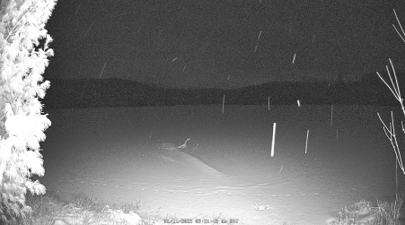 Image from 2025-01-11