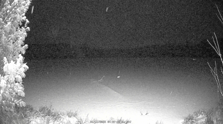 Image from 2025-01-11