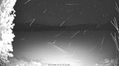Image from 2025-01-11