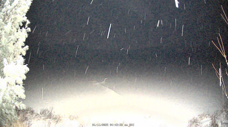 Image from 2025-01-11