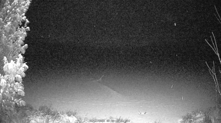 Image from 2025-01-11