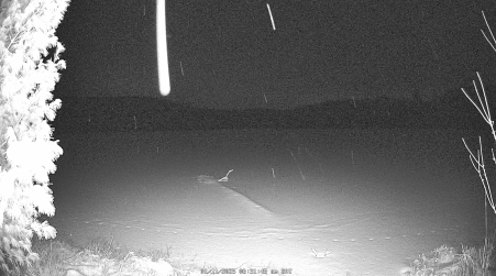 Image from 2025-01-11