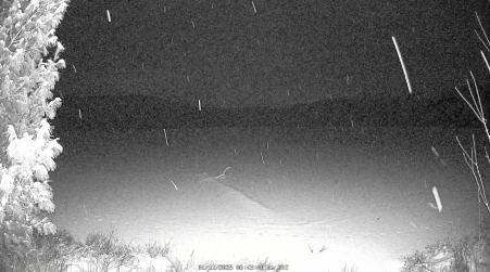 Image from 2025-01-11