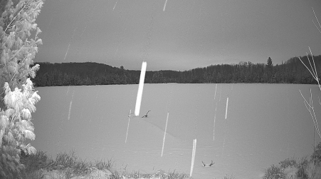 Image from 2025-01-11
