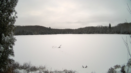 Image from 2025-01-11