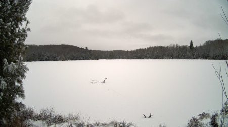 Image from 2025-01-11