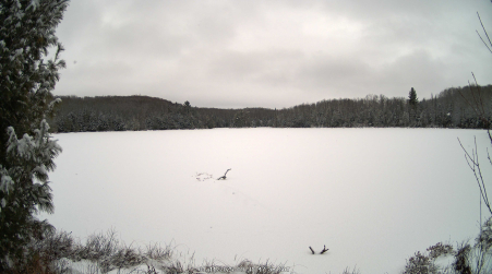 Image from 2025-01-11