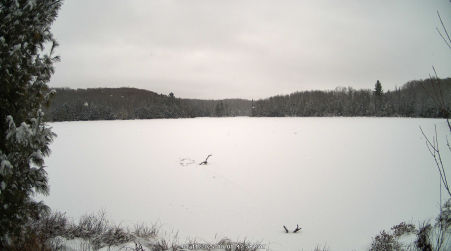Image from 2025-01-11