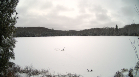 Image from 2025-01-11