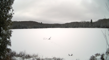 Image from 2025-01-11
