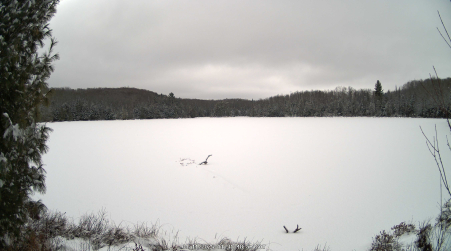 Image from 2025-01-11