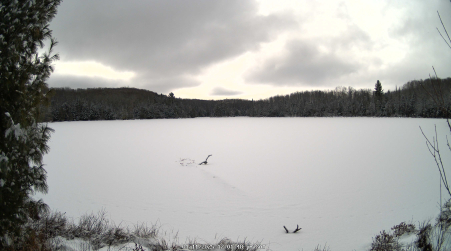 Image from 2025-01-11