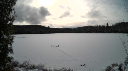 Image from 2025-01-11