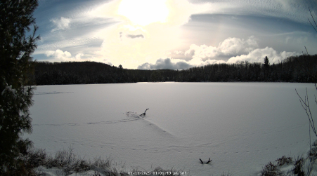 Image from 2025-01-11