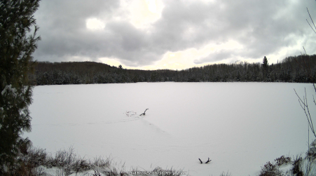 Image from 2025-01-11