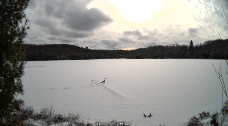 Image from 2025-01-11