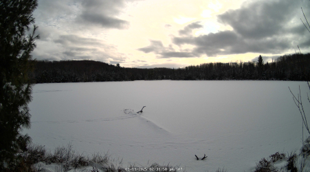 Image from 2025-01-11