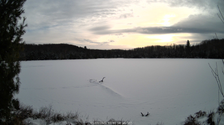 Image from 2025-01-11