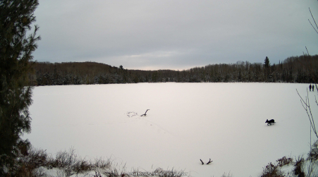 Image from 2025-01-11