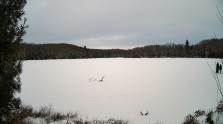 Image from 2025-01-11