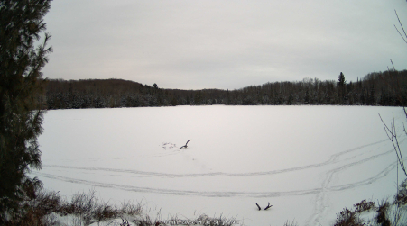 Image from 2025-01-11