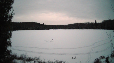 Image from 2025-01-11