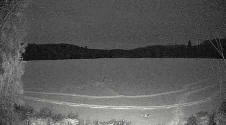 Image from 2025-01-11