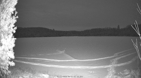 Image from 2025-01-11