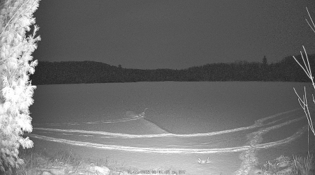 Image from 2025-01-11