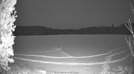 Image from 2025-01-11