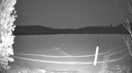 Image from 2025-01-11