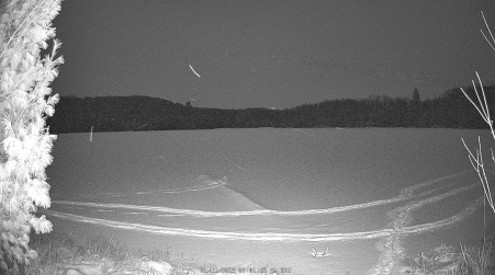 Image from 2025-01-11