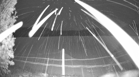 Image from 2025-01-11