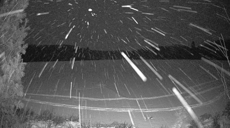 Image from 2025-01-11
