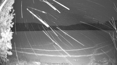 Image from 2025-01-11
