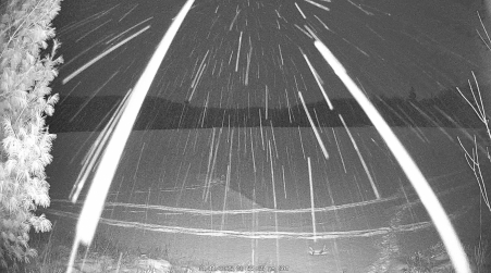 Image from 2025-01-11