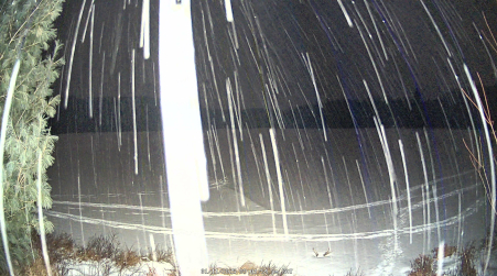 Image from 2025-01-11